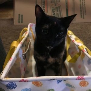 Meet your Posher, Tashanna